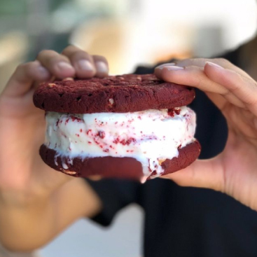 Decadent Ice Cream Sandwich